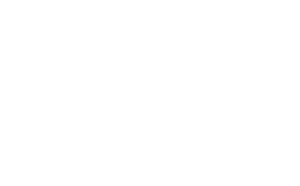 Suzuki Motorcycles